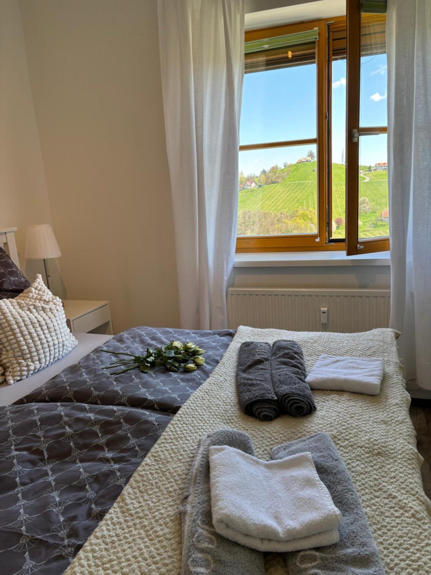 Glanz Und Gloria Weingartenapartment An Der Kellerstrasse, Viele Buschenschaenke, Sehr Ruhige Lage, Herrliche Aussicht! Лойчах Екстер'єр фото